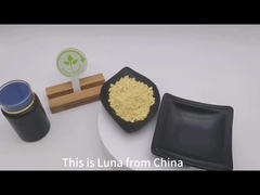 Σκηνό κυττάρων σπασμένο σκόνη γύρης πεύκου