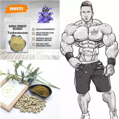 φυσικά εκχυλίσματα φυτού 500mg Turkestanica