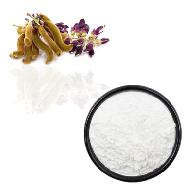 Σκόνη λ-Dopa αποσπασμάτων 98% 99% Mucuna Pruriens εγκαταστάσεων