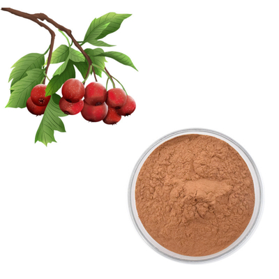 Flavones 80% εκχυλισμάτων μούρων κραταίγου απόσπασμα φύλλων crataegus σκονών