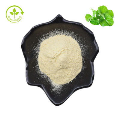 Hydrocotyle Asiatica/Centella Asiatica/σκόνη εκχυλισμάτων 70% Asiaticoside κόλα Gotu