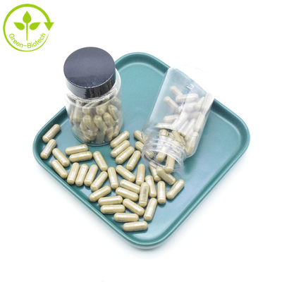 Καθαρές κάψες συμπληρωμάτων 2% 10% 40% 500mg Turkesterone αποσπασμάτων Ajuga Turkestanica