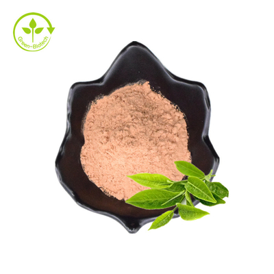 Polyphenols τσαγιού εκχυλισμάτων φύλλων τσαγιού συμπληρωμάτων υγειονομικής περίθαλψης χονδρικής τιμής τιμών εργοστασίων πράσινη σκόνη