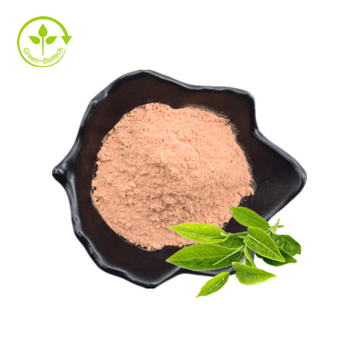 Polyphenol τσαγιού, EGCG, πράσινη σκόνη εκχυλισμάτων τσαγιού