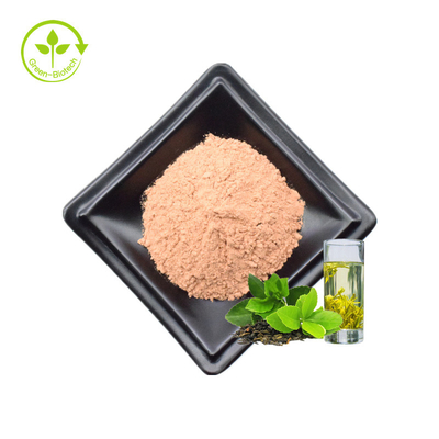 Polyphenol τσαγιού οι κατασκευαστές παρέχουν καυτό πωλώντας πράσινο Polyphenol εκχυλισμάτων τσαγιού Polyphenol τσαγιού σκονών 90%