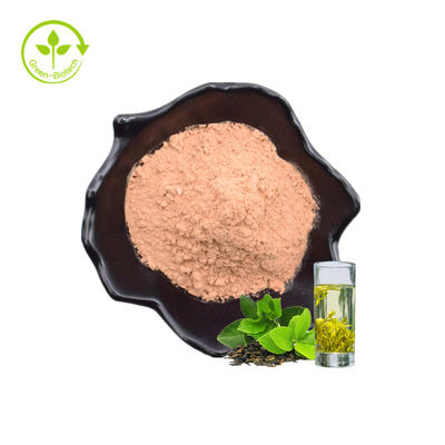 Χονδρικό φύλλο υγιές 60% φυτού εργοστασίων υψηλό - στιγμιαία σκόνη εκχυλισμάτων ποιοτικών φυσική πράσινη φύλλων τσαγιού
