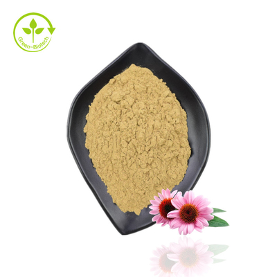 Κορυφαίας ποιότητας εκχύλισμα Echinacea Purpurea Organic Echinacea Extract Powder