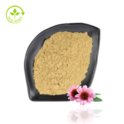 Εκχύλισμα Πουρπουρίας Echinacea Hot Selling 4%-6% Πολυφαινόλη 2%-4% Φυσική σκόνη Echinacea