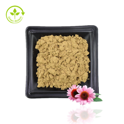 Προμήθεια εκχύλισμα Echinacea Purpurea Εκχύλισμα Echinacea Φυσικό Εκχύλισμα λουλουδιών Echinacea Purpurea 4% Πολυφαινόλες
