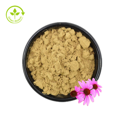 Πιστοποιητικό Iso 100% Φυσικό Εκχύλισμα Echinacea Echinacea Purpurea Extract 10% Polyphenol
