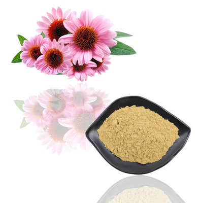 Εκχύλισμα λουλουδιών Echinacea Purpurea σκονών εκχυλισμάτων φυτού βαθμού τροφίμων