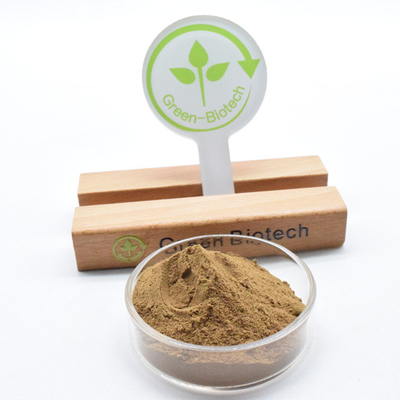 Χονδρική προμήθεια Dendrobium Extract Powder 10:1 Με υψηλή ποιότητα