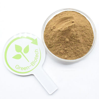 Υψηλής ποιότητας χύδην καθαρό φυσικό εκχύλισμα dendrobium σκόνη dendrobine