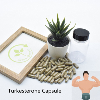 φυσικά εκχυλίσματα φυτού Ecdysteroid συμπληρωμάτων 2% 10% Ajuga Turkestanica