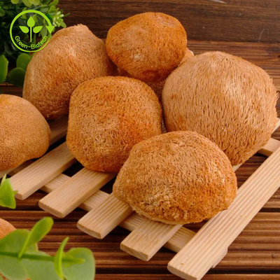 Σκόνη 30% μανιταριών Hericium Erinaceus αποσπασμάτων μυκηλίων Μάιν λιονταριών