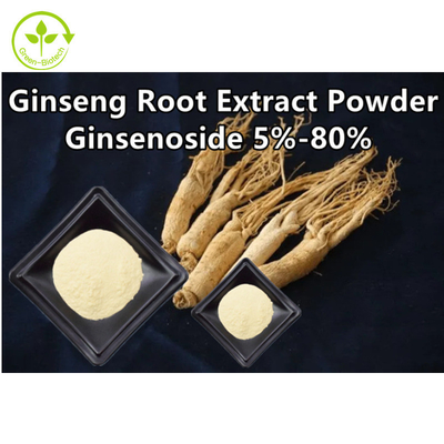 Βοτανική σκόνη Ginsenoside 5% αποσπασμάτων ρίζας Ginseng - 80%