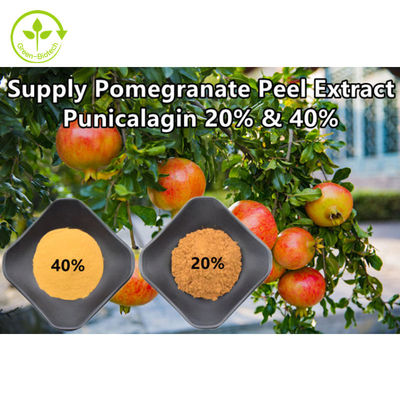 Καθαρή φυσική σκόνη Punicalagin CAS 65995-63-3 εκχυλισμάτων ροδιών