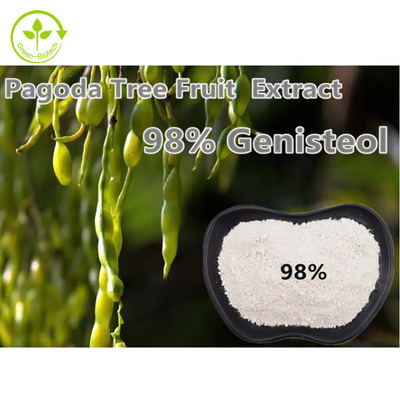 Σκόνη Nepeta Japonica Maxim εκχυλισμάτων φυτού 98% Genistein Fructus Sophorae