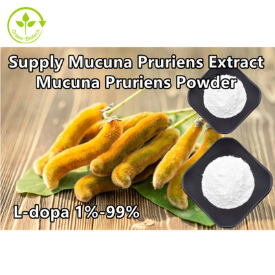 Σκόνη λ-Dopa αποσπασμάτων 98% 99% Mucuna Pruriens εγκαταστάσεων