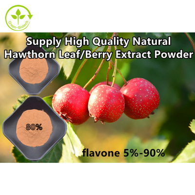 Flavones 80% εκχυλισμάτων μούρων κραταίγου απόσπασμα φύλλων crataegus σκονών