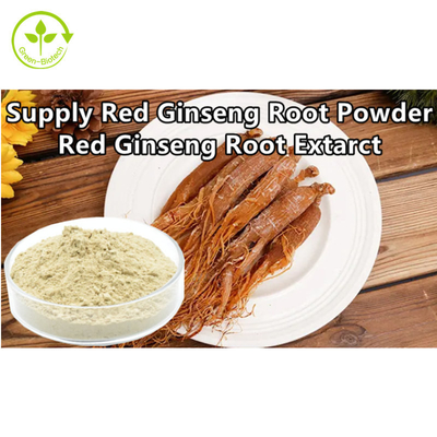 Τροφίμων βαθμού φυσική κορεατική κόκκινη Ginseng σκόνη αποσπασμάτων ρίζας Ginseng σκονών κόκκινη