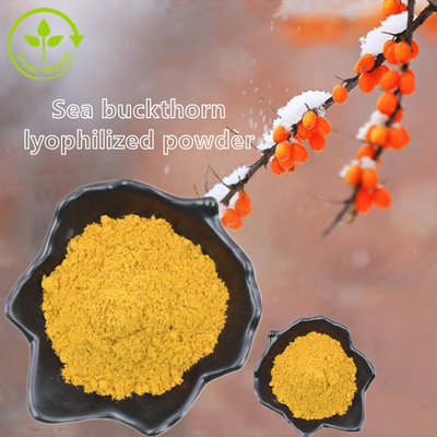 Rhamnoides Hippophae πετρελαίου λευκαγκαθιών Fructus Hippophae εκχυλισμάτων φυτού πετρέλαιο