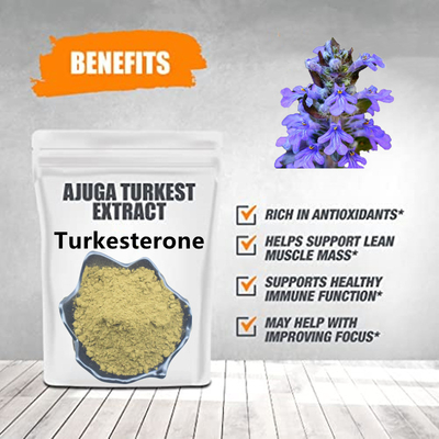Βοτανικά συμπληρώματα 2% 10% 20% σκονών Turkesterone σκονών αποσπασμάτων αποσπασμάτων Turkestanica Ajuga