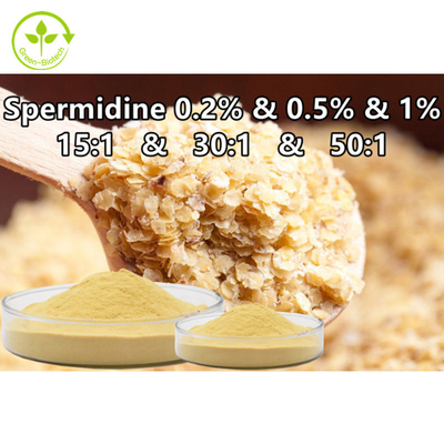 Spermine εκχυλισμάτων μικροβίων σίτου συμπλήρωμα Spermidine τροφίμων σκονών 0,1% 0,5% 1%
