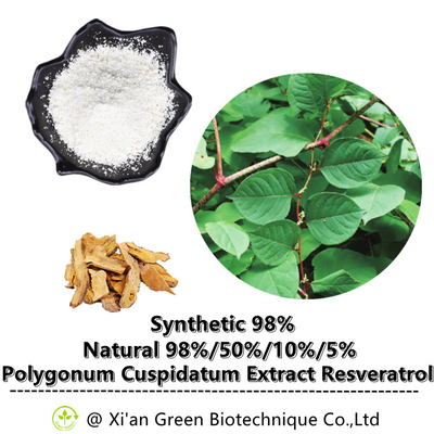 Απόσπασμα ρίζας Polygonum Cuspidatum σκονών δια-Resveratrol 99%