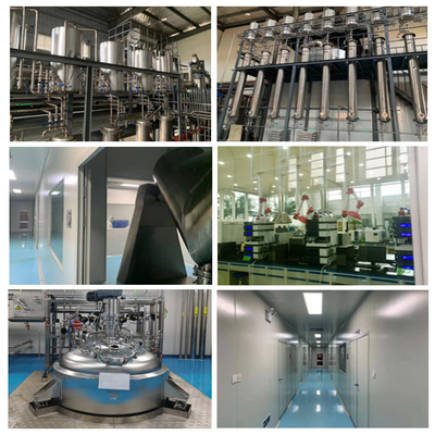 Stigmasterol εκχυλισμάτων σόγιας σκόνη 95% 83-48-7 για το υγιές προϊόν