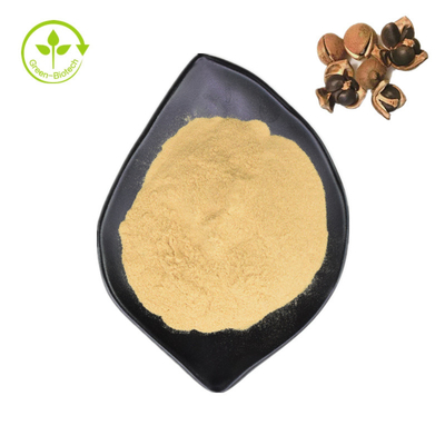 Φυσικό Saponin τσαγιού εκχυλισμάτων 98% σπόρου Sinensis καμελιών για τα τρόφιμα