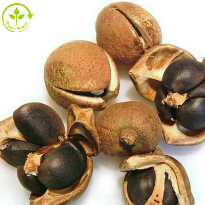 Saponin τσαγιού εκχυλισμάτων σπόρου Sinensis καμελιών σκόνη 50% 60% 70% 80% 85% 90% 95% 98%