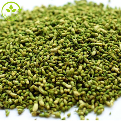 Βαθμός τροφίμων Quercetin αποσπασμάτων 95% Sophora Japonica καθαρή σκόνη