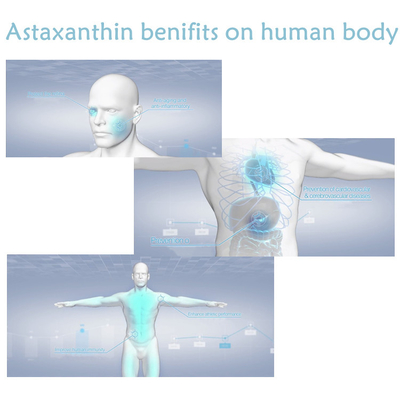 Αντιοξειδωτικά Astaxanthin αποσπασμάτων 10% Haematococcus Pluvialis συμπληρώματα σκονών