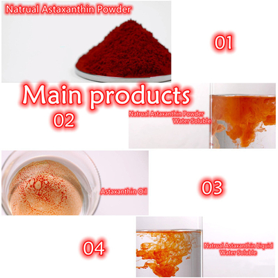 Αντιοξειδωτικά Astaxanthin αποσπασμάτων 10% Haematococcus Pluvialis συμπληρώματα σκονών