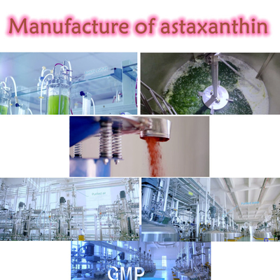 Αντιοξειδωτικά Astaxanthin αποσπασμάτων 10% Haematococcus Pluvialis συμπληρώματα σκονών