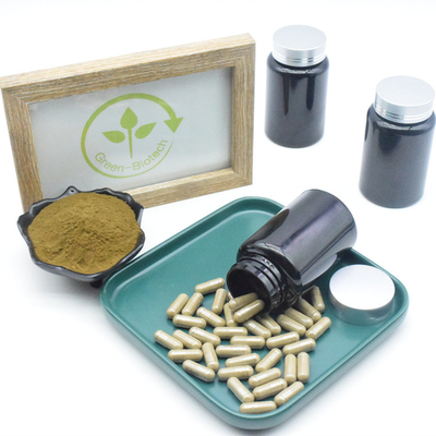 Καθαρές κάψες συμπληρωμάτων 10% 40% 500mg Turkesterone αποσπασμάτων Ajuga Turkestanica