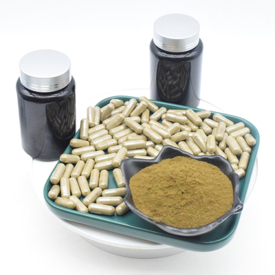 Κάψες Turkesterone αποσπασμάτων Turkestanica Ajuga για Bodybuilding