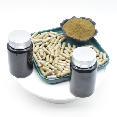 Κάψες σκονών 2% 10% 500mg Turkesterone αποσπασμάτων cOem Ajuga Turkestanica