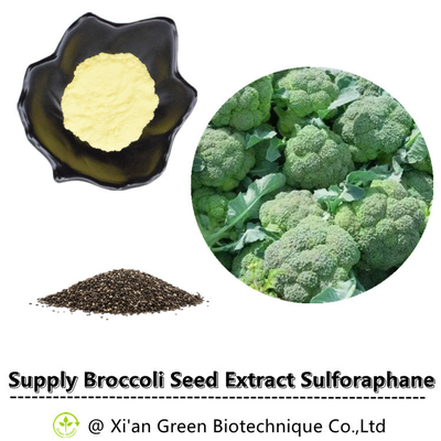 Glucosinolate CAS 21414-41-5 13% Glucoraphanin Sulforaphane εκχυλισμάτων σπόρου μπρόκολου σκόνη