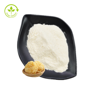 Σκόνη 30% πολυσακχαριτών αποσπασμάτων Fuciformis Tremella - 50%