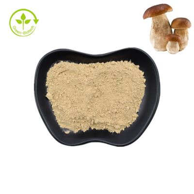 Φυσική Boletus εκχυλισμάτων μανιταριών Porcini κουλουριών πενών καθαρή σκόνη 99%