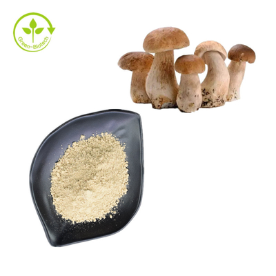 Φυσική Boletus εκχυλισμάτων μανιταριών Porcini κουλουριών πενών καθαρή σκόνη 99%