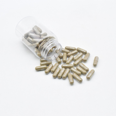 Κάψες συμπληρωμάτων 500mg Ajuga Turkesterone Turkesterone συμπληρωμάτων κτηρίου σώματος