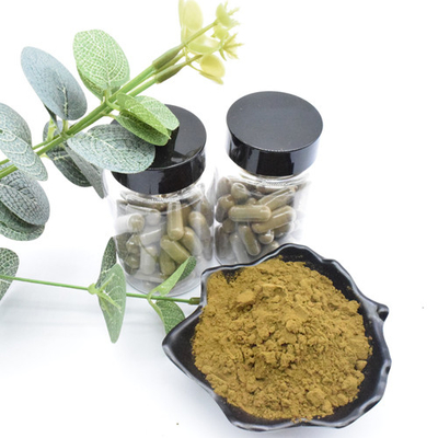 Βοτανική σκόνη Turkesterone αποσπασμάτων Ajuga Turkestanica αποσπασμάτων