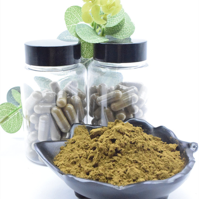100% φυσικό απόσπασμα σκονών 2% 10% 40% Ajuga Turkestanica Turkesterone