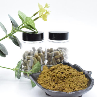Σκόνη 10 Ajuga Turkesterone κορυφαίας ποιότητας εκχύλισμα φυτού Turkesterone αποσπασμάτων Turkesterone