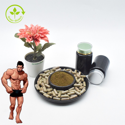 Σκόνη 10 απόσπασμα Turkesterone Ajuga Turkesterone κορυφαίας ποιότητας Turkesterone