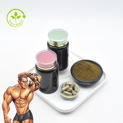 100% φυσική Ajuga Turkestanica αποσπασμάτων Turkesterone 10% σκόνη Turkesterone καψών καθαρή