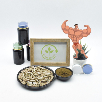 100% φυσική Ajuga Turkestanica αποσπασμάτων Turkesterone 10% σκόνη Turkesterone καψών καθαρή